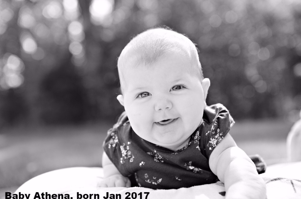 A Gift of Gift Cards